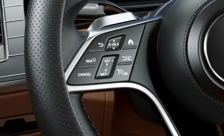 Steering wheel multi-function buttons with volume, track, phone and voice controls